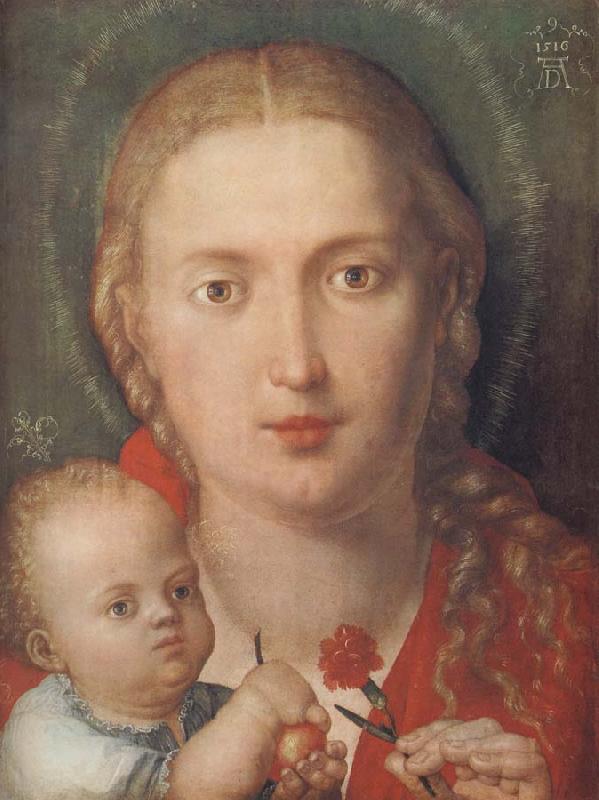 Albrecht Durer The Madonna with a Carna-tion
